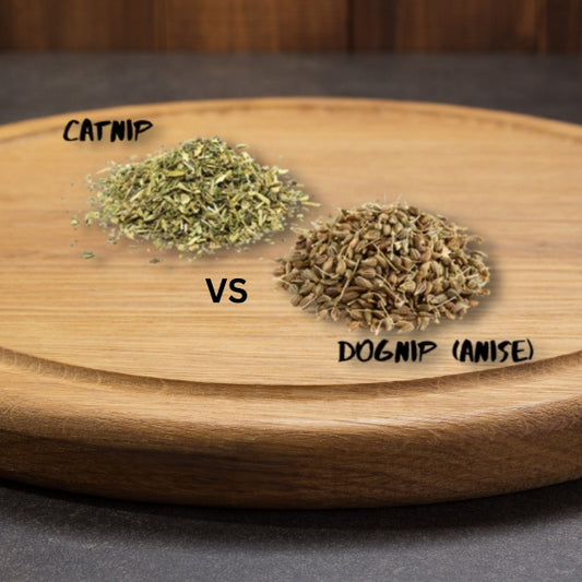 Don't confuse Catnip and Dognip