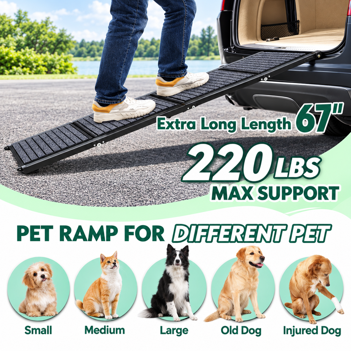 67" Foldable Dog Ramps for Large Dogs, Dog Car Ramp with Non-Slip Rug Surface, Pet Ramp Stairs Portable,Dog Steps for Medium & Large Dogs up to 220 LBS Get into a Car, SUV & Truck