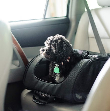 Pet Carrier - Medium Black Roller Bag Pet Carrier