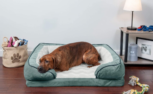 Orthopedic Dog Bed for Large Dogs W/ Removable Bolsters & Washable Cover, for Dogs up to 125 Lbs - Plush & Velvet Waves Perfect Comfort Sofa - Celadon Green, Jumbo Plus/Xxl