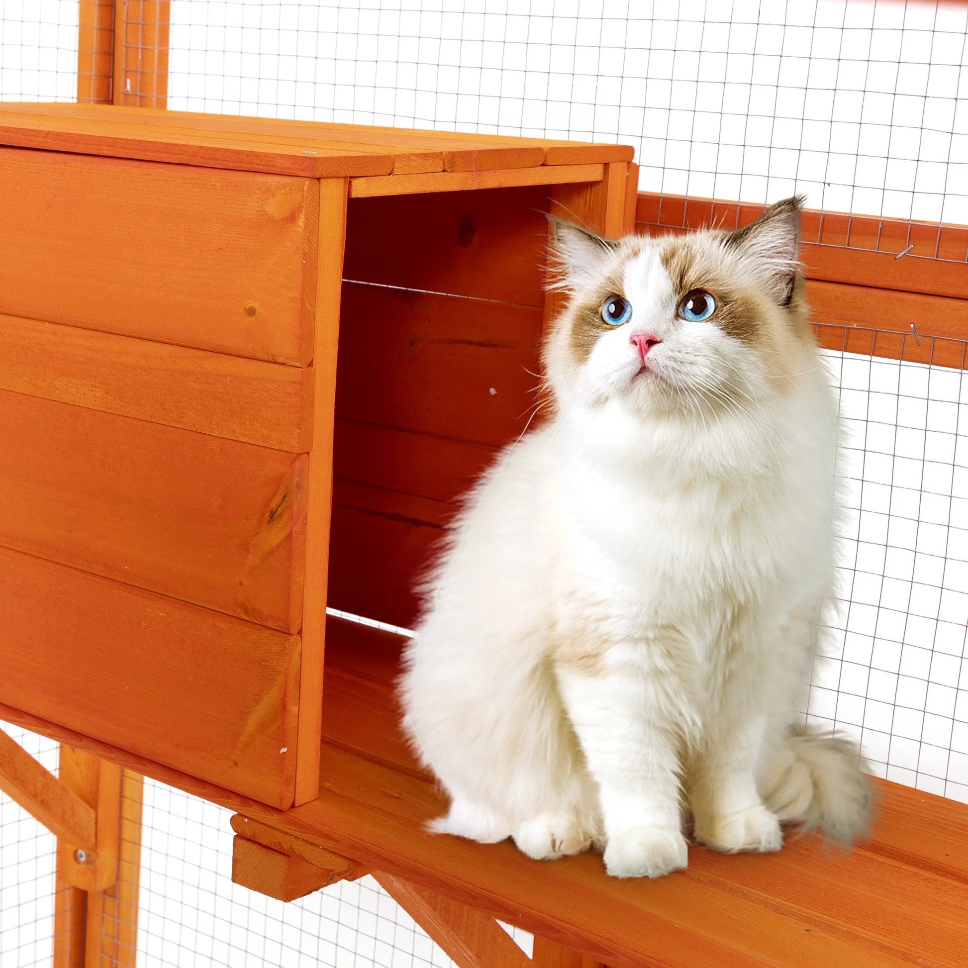 Large Catio Wooden Cat Enclosure Catio Cat Cage Outdoor Pet House Small Animal Hutch, Orange