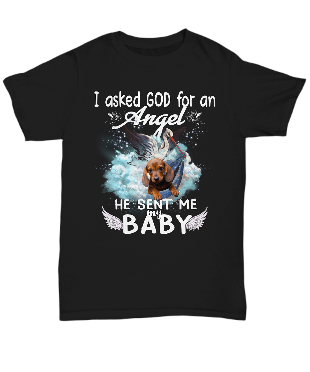 God Sent Me My Baby Unisex T-Shirt