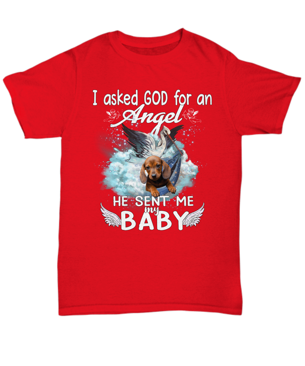 God Sent Me My Baby Unisex T-Shirt