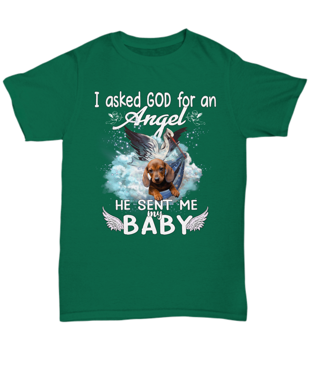 God Sent Me My Baby Unisex T-Shirt