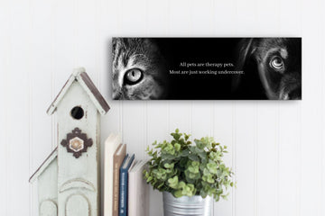 All Pets Are Therapy Pets Wall Sign for Dogs and Cats